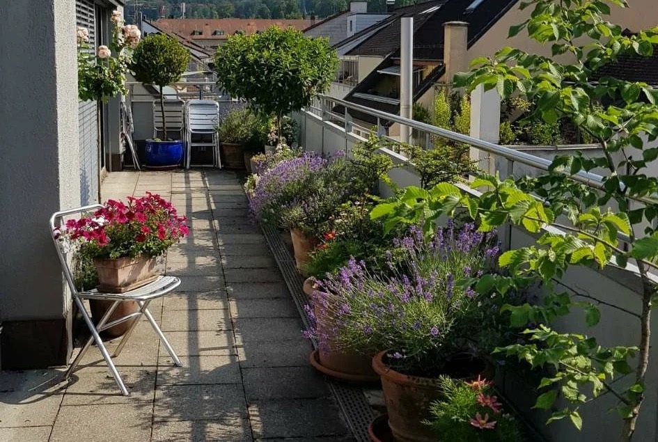 Terrasse zum Geniessen