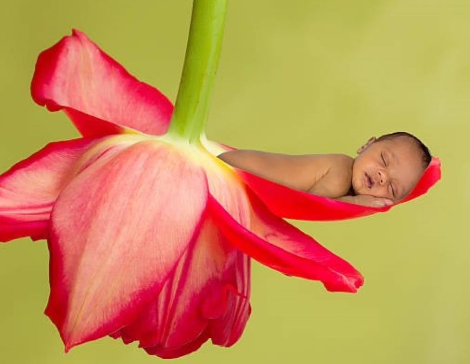 Bild Kurs Geborgenheit für  mich und mein inneres Kind