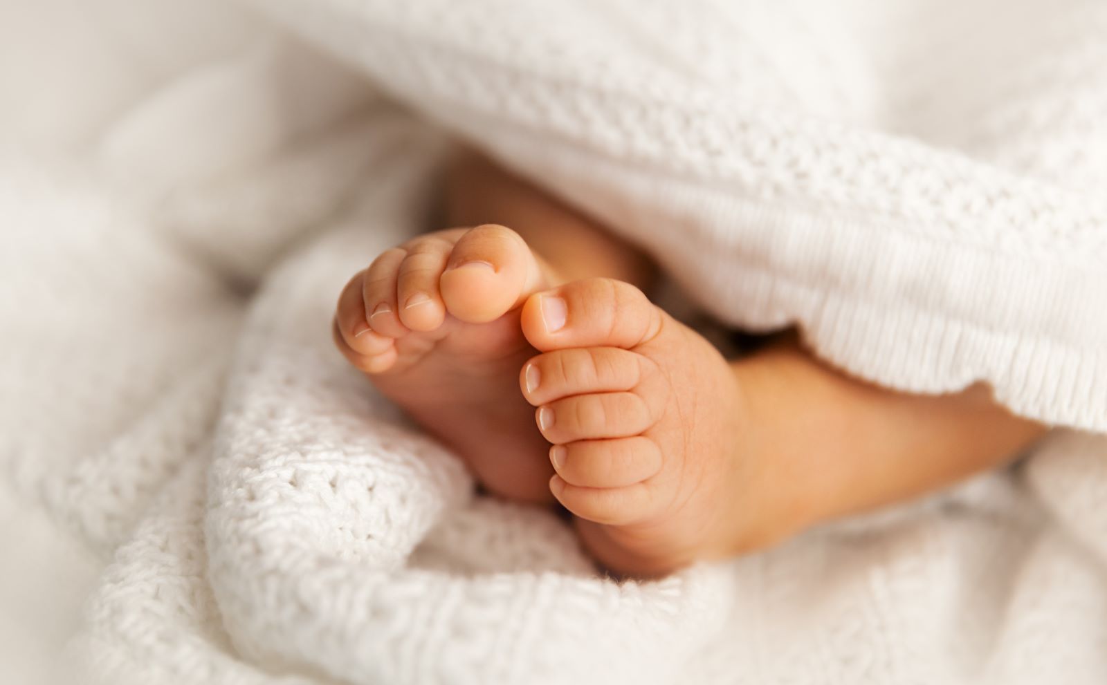 Bild Kurs Heilung am Ursprung - Geburtsinterventionen achtsam begegnen