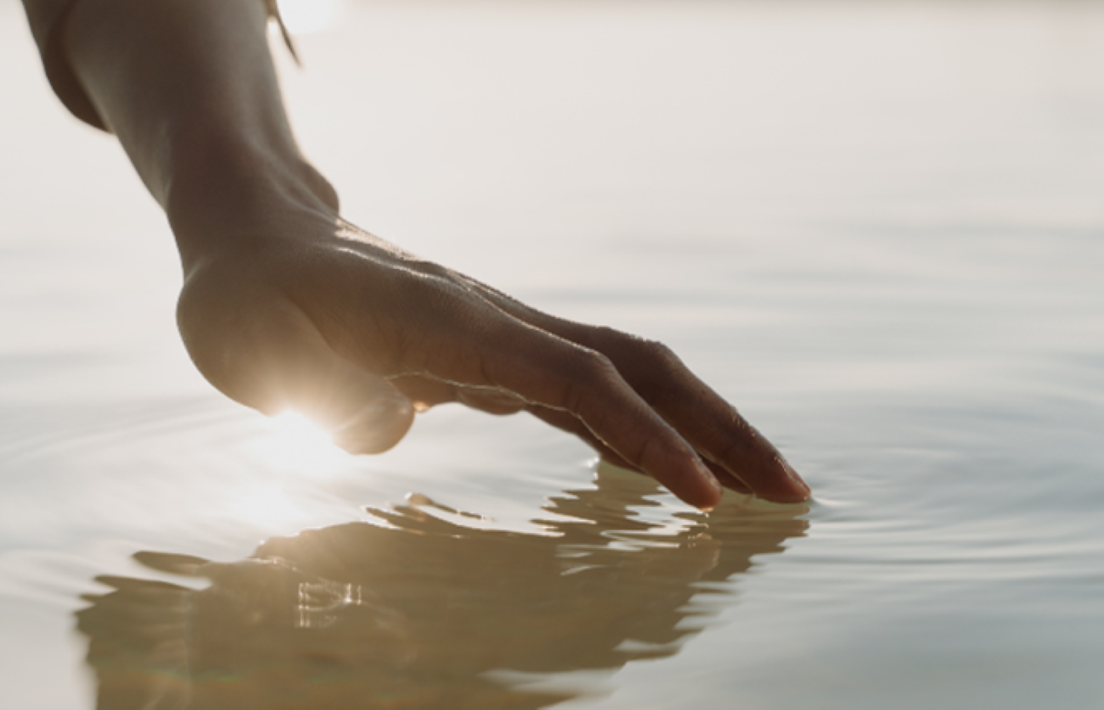Bild Kurs Hochsensible Menschen mit Cranio begleiten