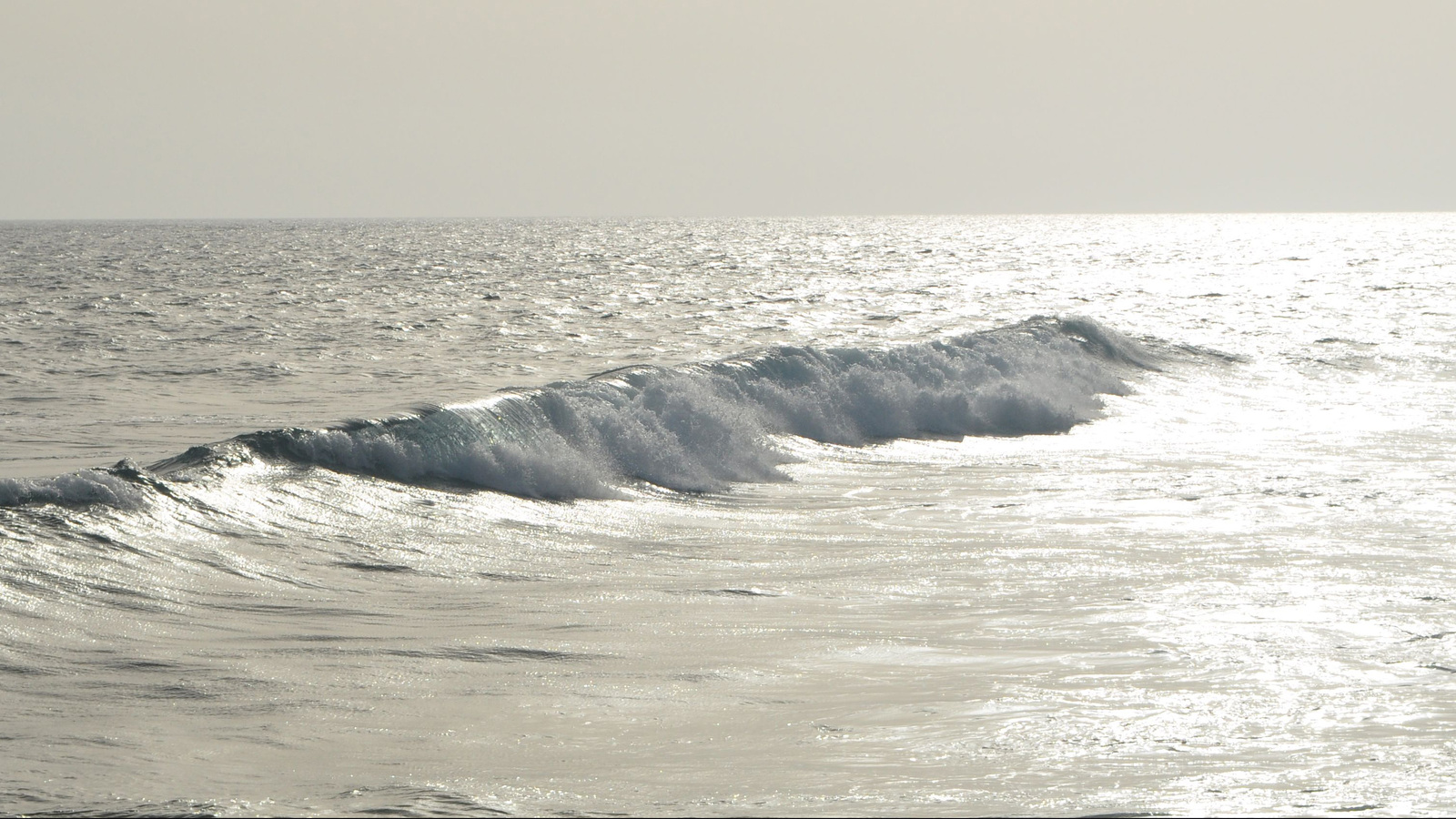 Bild Kurs Nichttun in der Biodynamischen Craniosacral Therapie